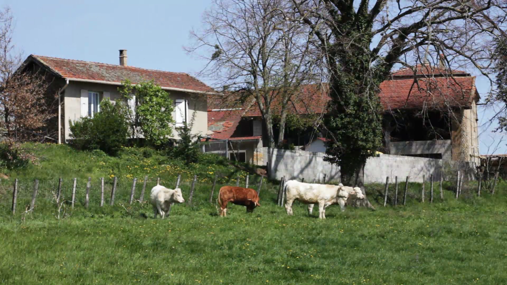 //www.martherobin.com/wp-content/uploads/2016/09/ferme-vaches.bmp